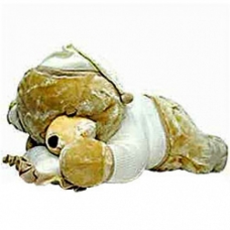 Play & Pets Sleeping Bear with Pillow